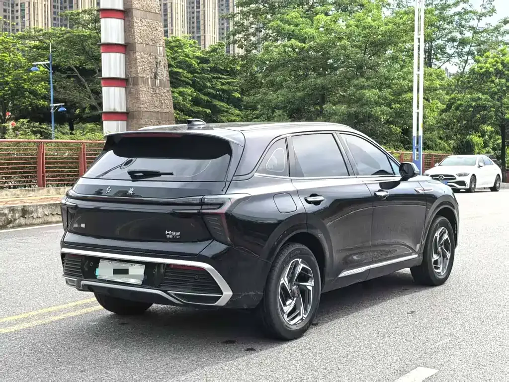 Hongqi HS3 PHEV 2024 из CN, фото 9