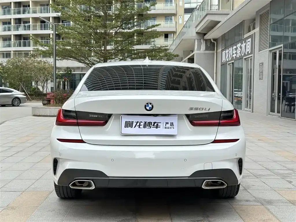 BMW 3 Series 2021 из CN, фото 5