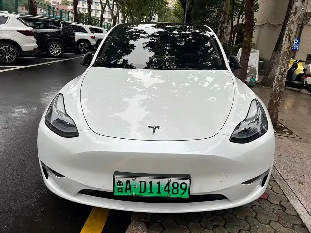 Tesla Model Y 2024 из CN, фото 2