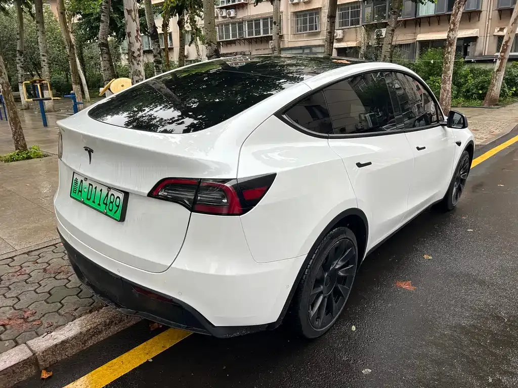 Tesla Model Y 2024 из CN, фото 6