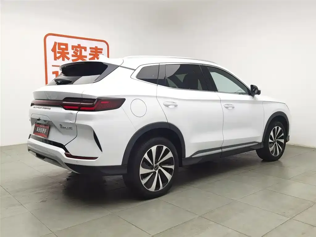 BYD PLUS New Energy — фото 2