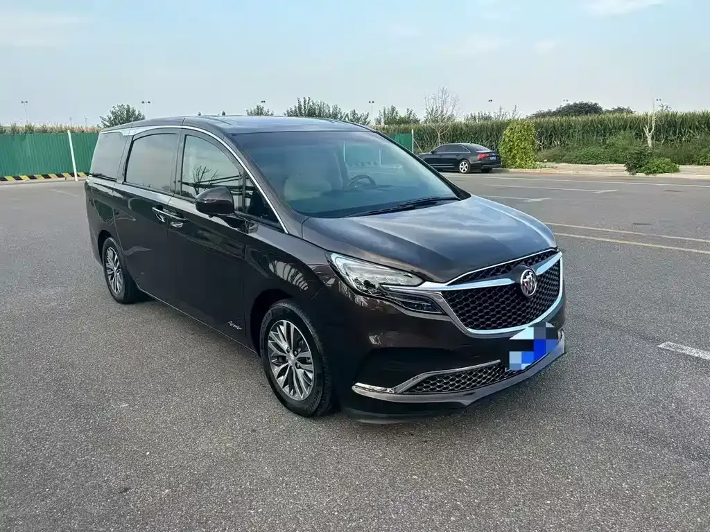 Buick GL8 2021 из CN, фото 3