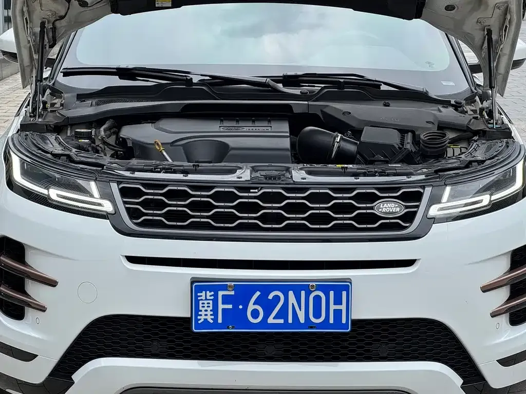 Land Rover Evoque 2021 из CN, фото 9