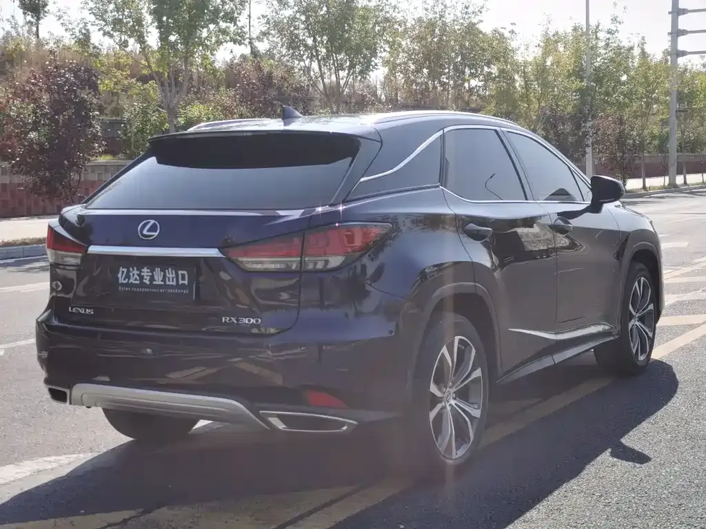 Lexus RX 2021 из CN, фото 5