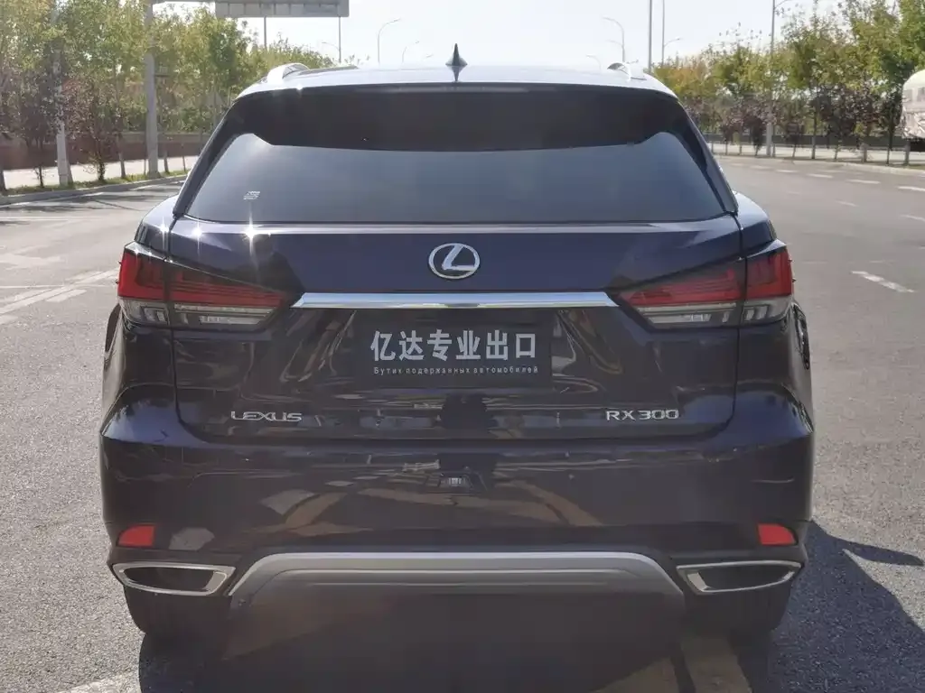 Lexus RX 2021 из CN, фото 6