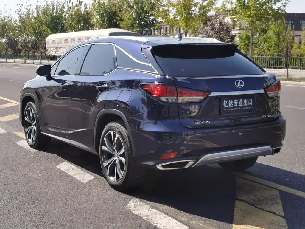 Lexus RX 2021 из CN, фото 7