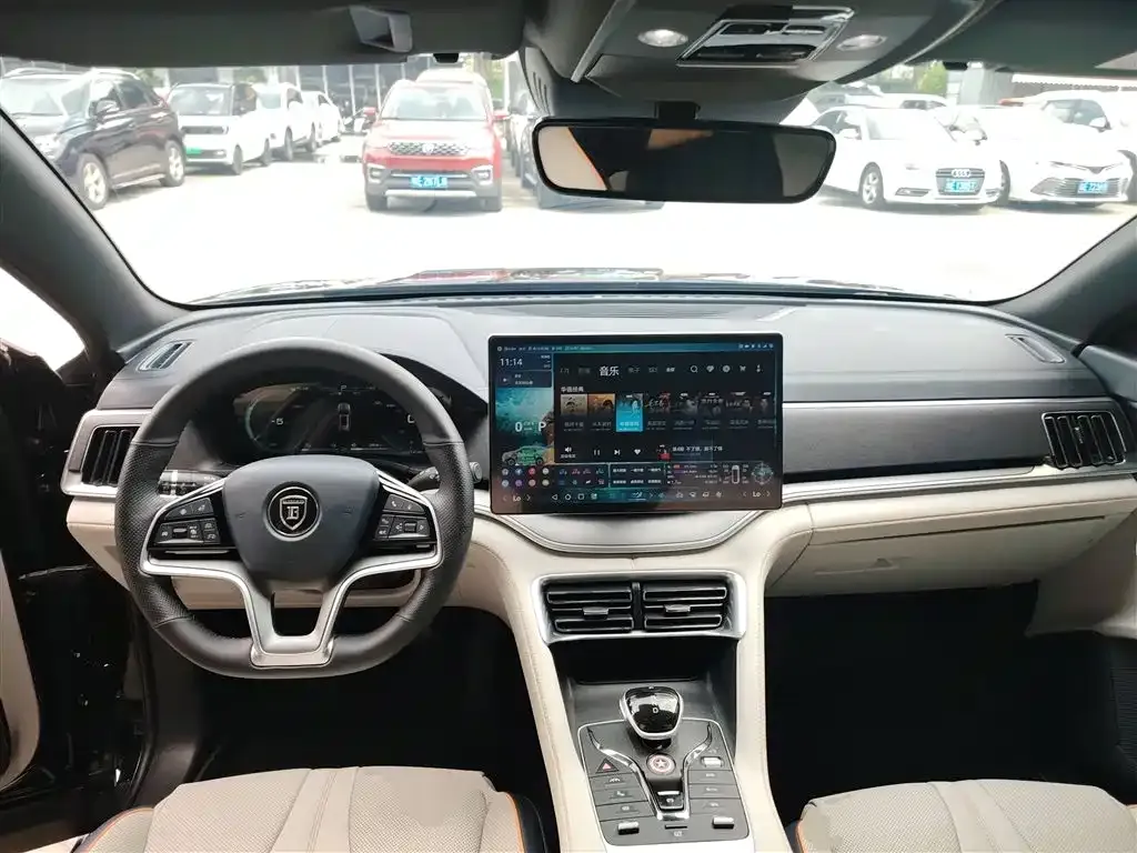 BYD PLUS New Energy 2023 из CN, фото 10