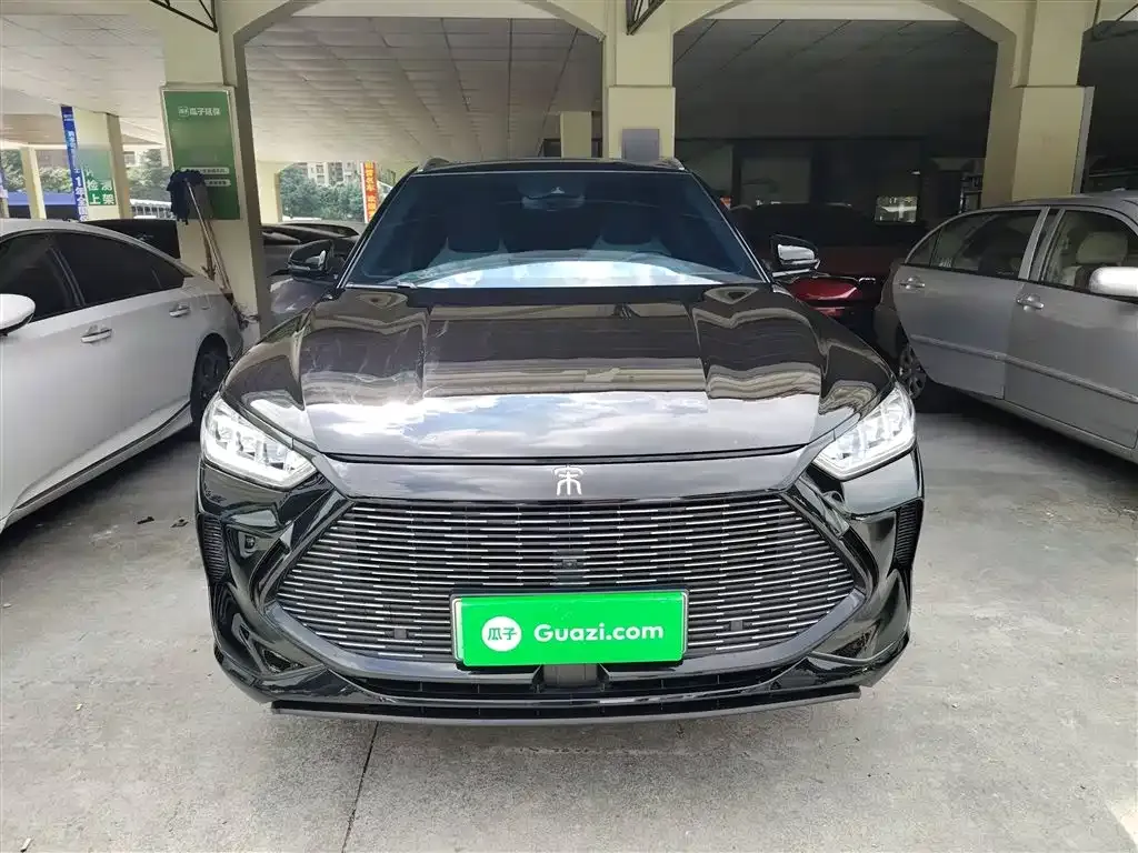 BYD PLUS New Energy 2023 из CN, фото 3