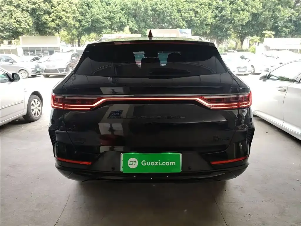 BYD PLUS New Energy 2023 из CN, фото 6