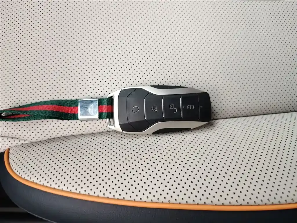 BYD PLUS New Energy 2023 из CN, фото 9