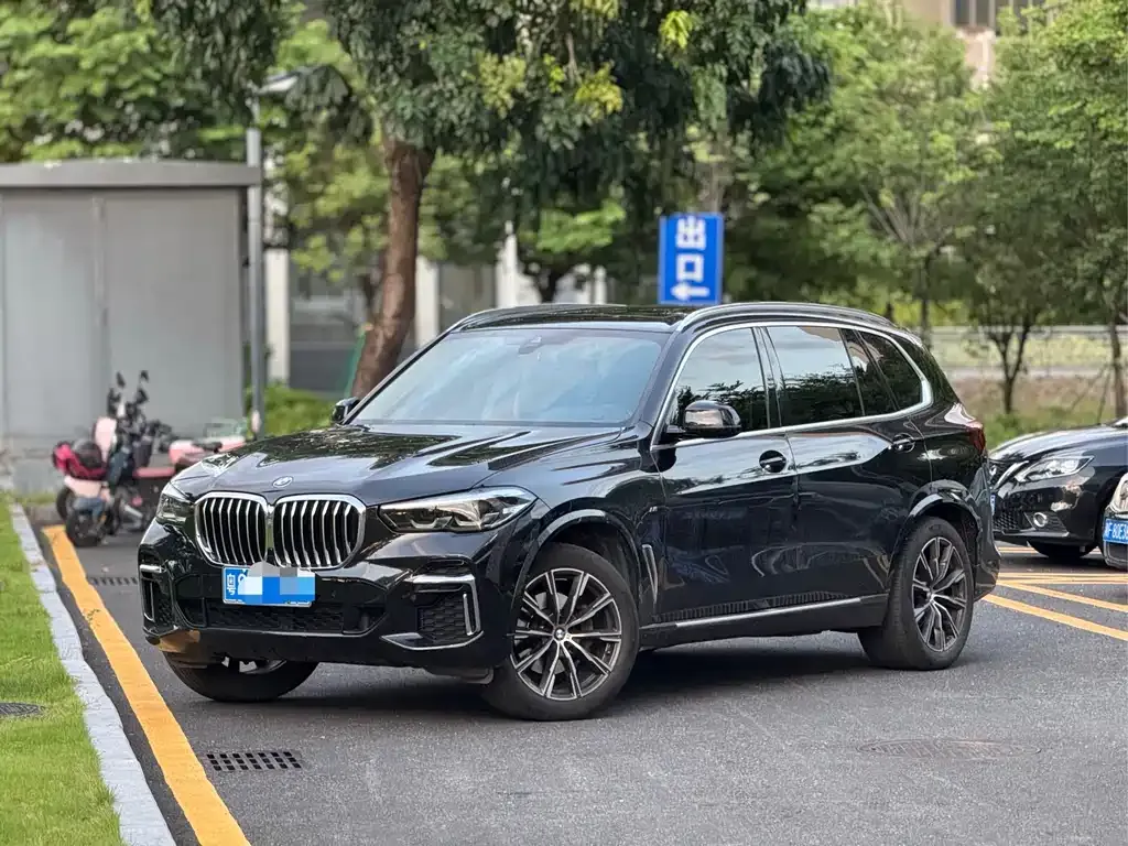 BMW X5 — фото 1