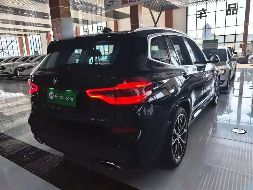 BMW X3 2021 из CN, фото 7