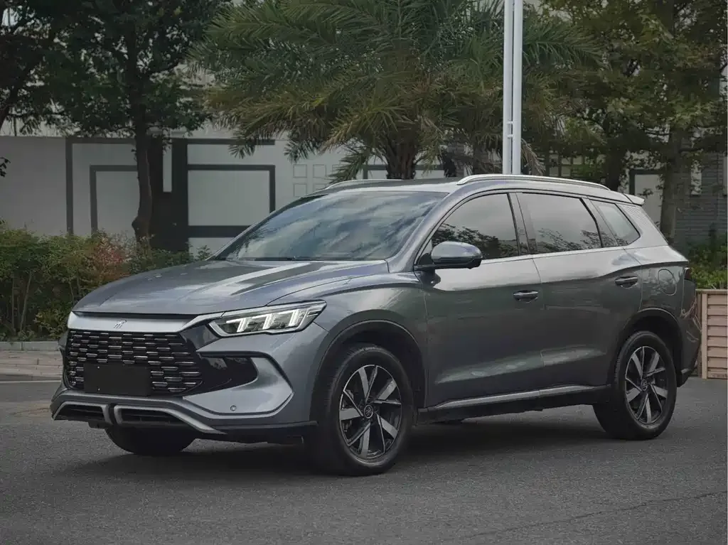 BYD Pro New Energy 2024 из CN, фото 1