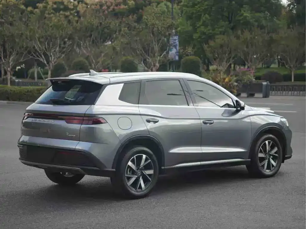 BYD Pro New Energy 2024 из CN, фото 10