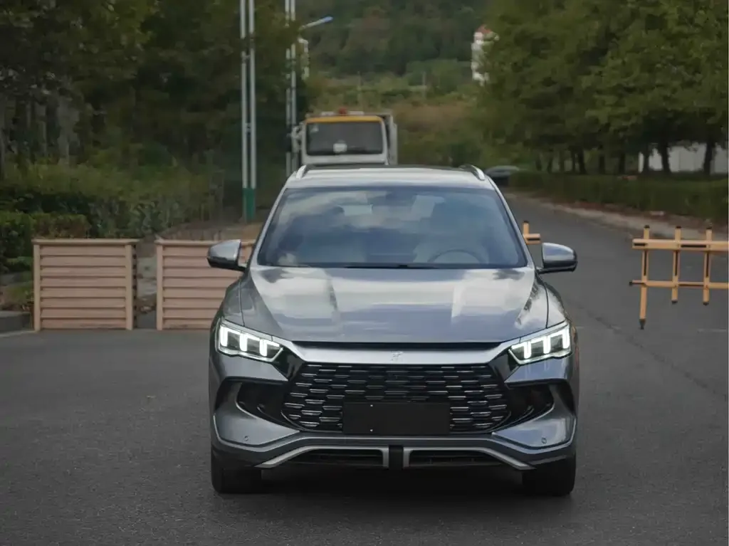 BYD Pro New Energy 2024 из CN, фото 2