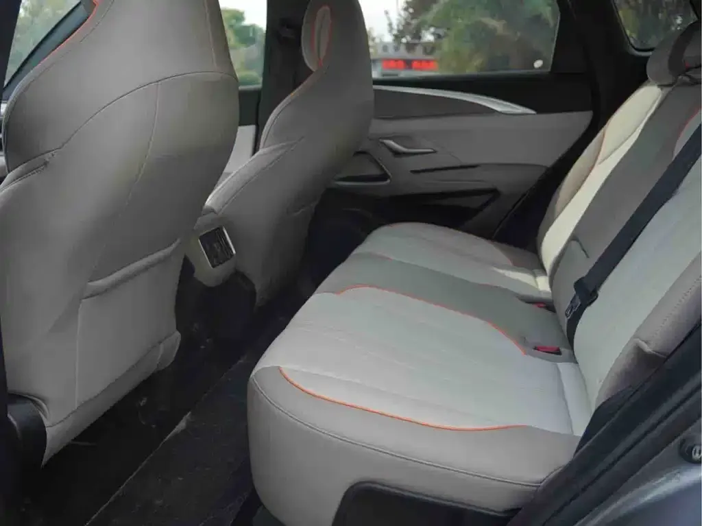 BYD Pro New Energy 2024 из CN, фото 4
