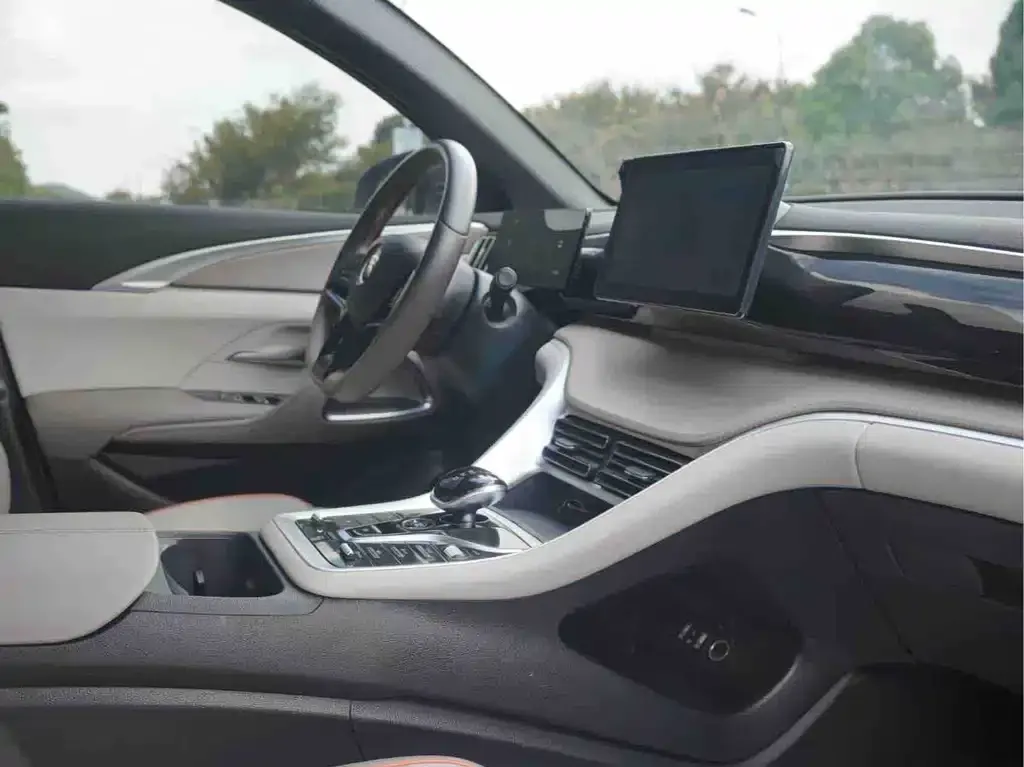 BYD Pro New Energy 2024 из CN, фото 6