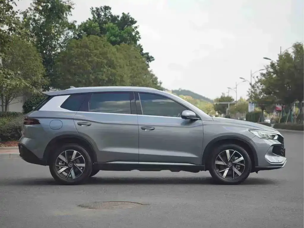 BYD Pro New Energy 2024 из CN, фото 7