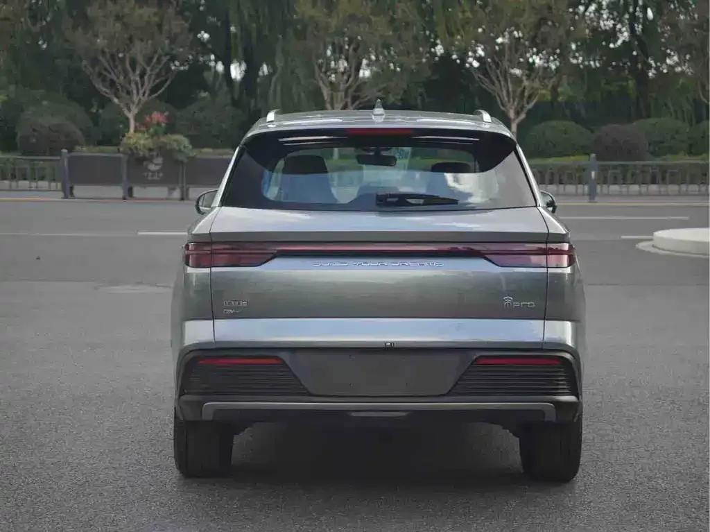 BYD Pro New Energy 2024 из CN, фото 9