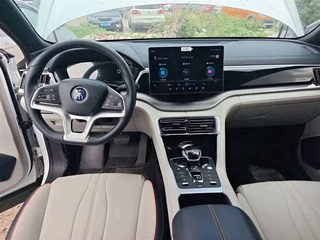 BYD PLUS New Energy 2023 из CN, фото 10