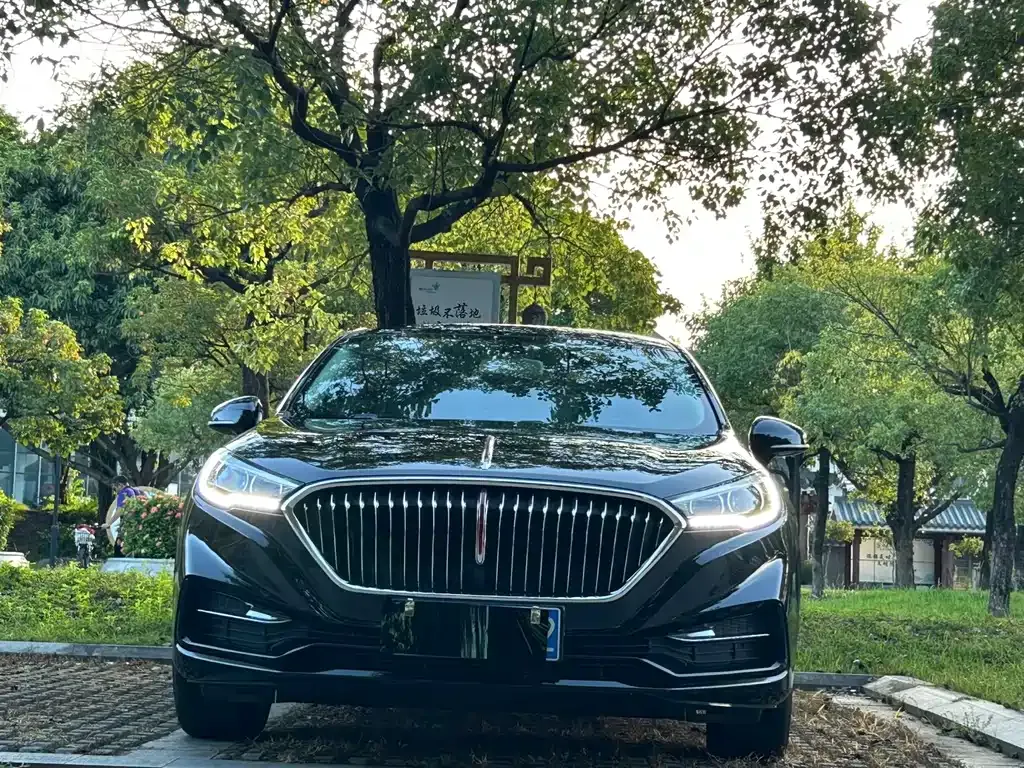 Hongqi H5 2022 из CN, фото 2