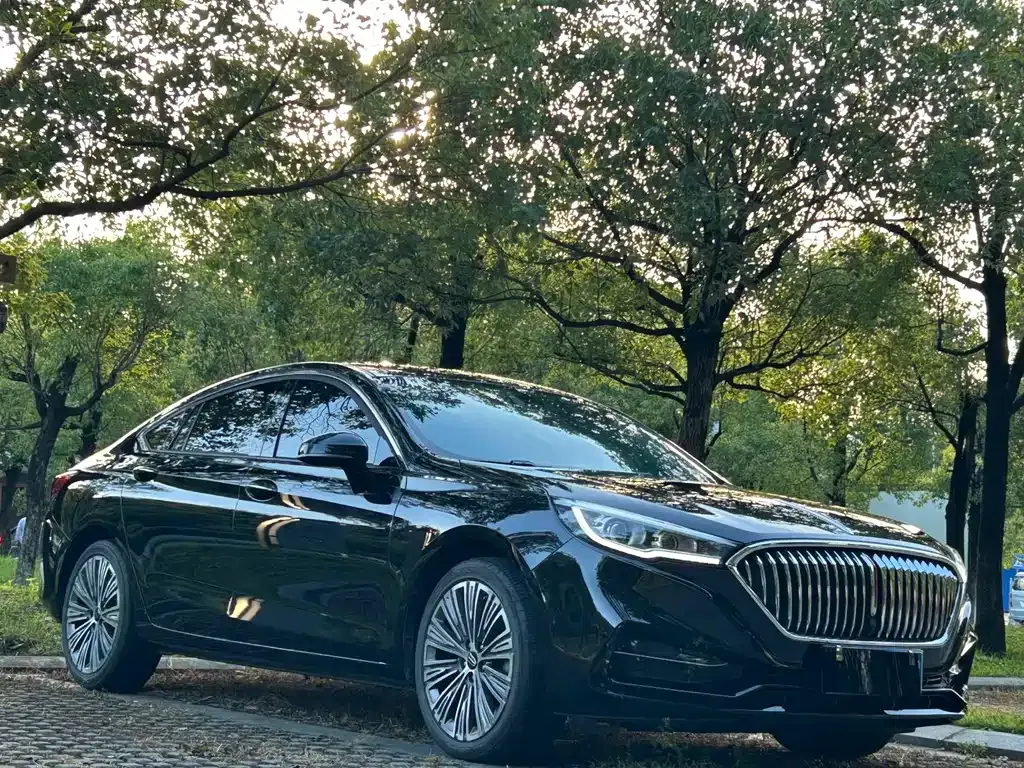 Hongqi H5 2022 из CN, фото 3