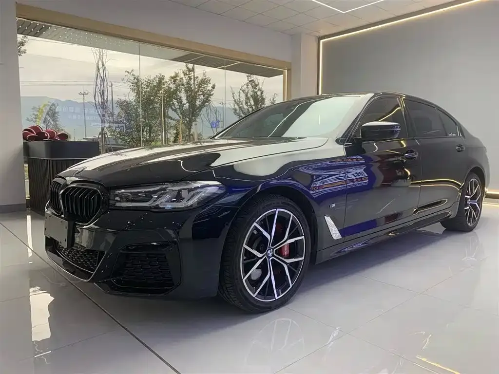 BMW 5 Series 2021 из CN, фото 1