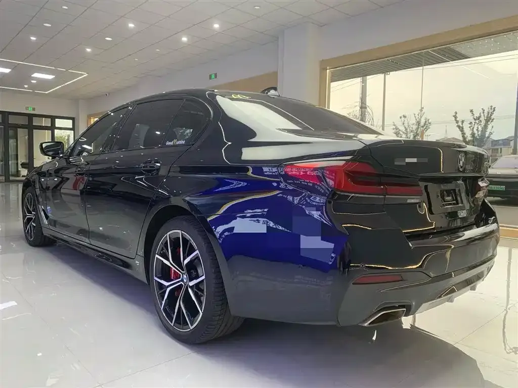 BMW 5 Series 2021 из CN, фото 3