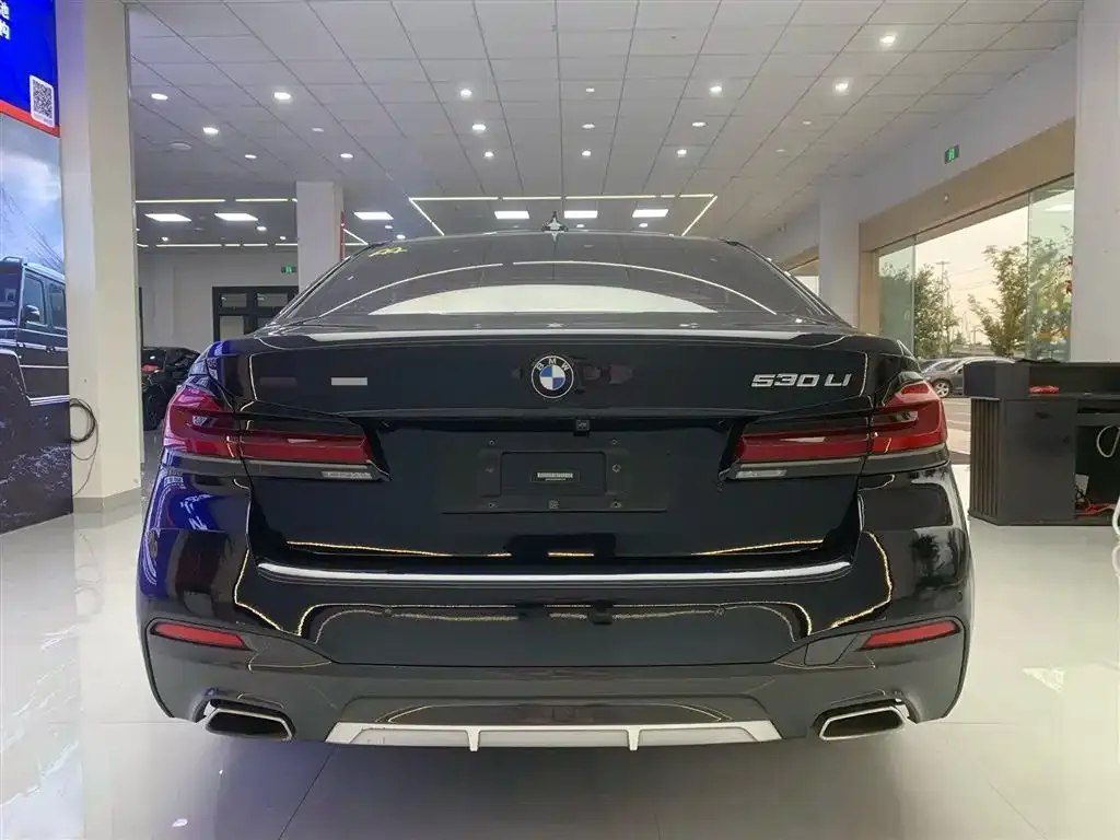 BMW 5 Series 2021 из CN, фото 4