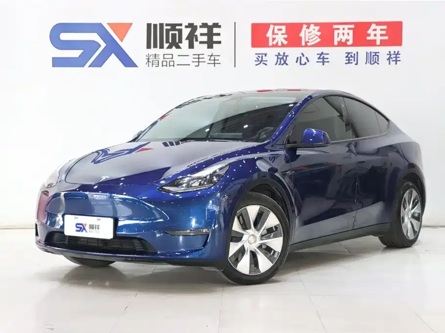 Tesla Model Y 2021 из CN, фото 1