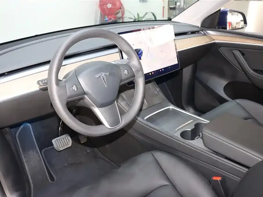 Tesla Model Y 2021 из CN, фото 10