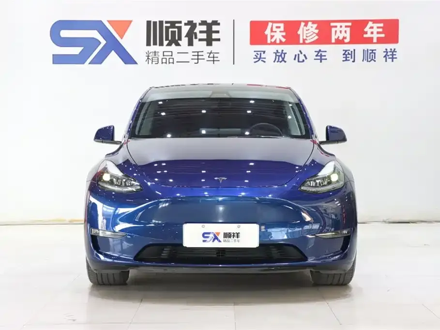 Tesla Model Y 2021 из CN, фото 2