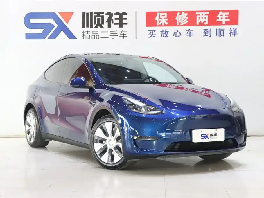 Tesla Model Y 2021 из CN, фото 3