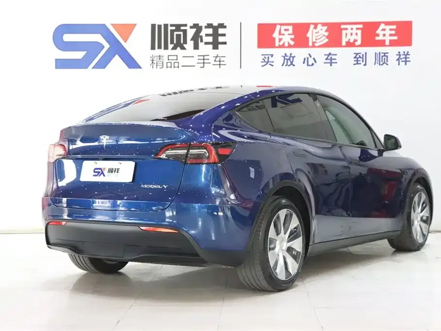 Tesla Model Y 2021 из CN, фото 4