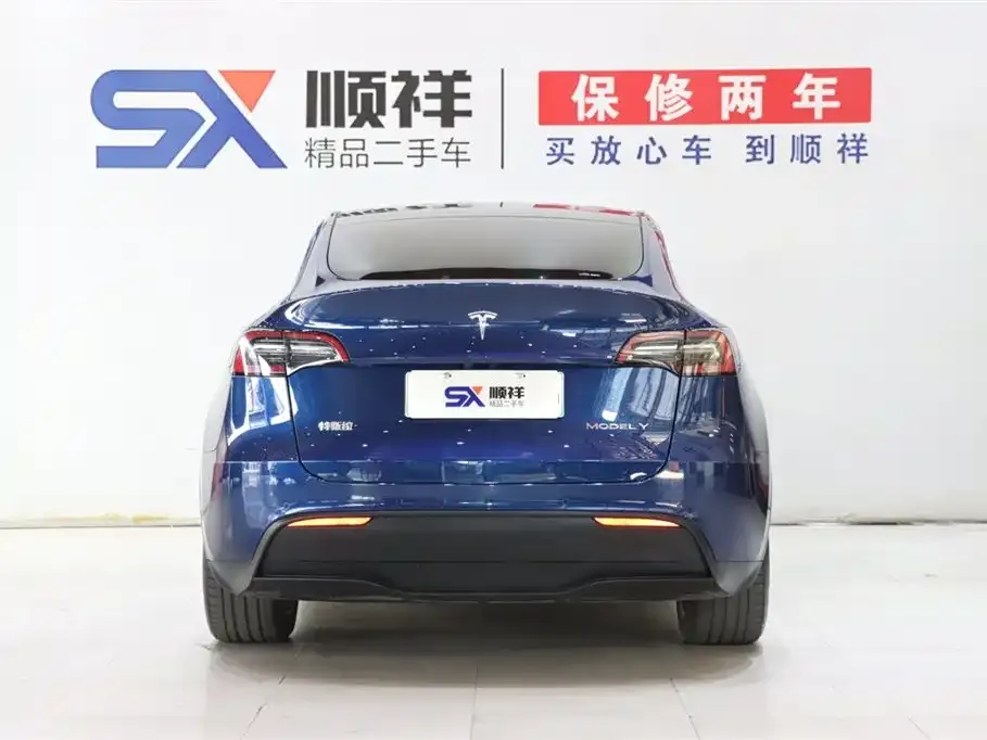 Tesla Model Y 2021 из CN, фото 5