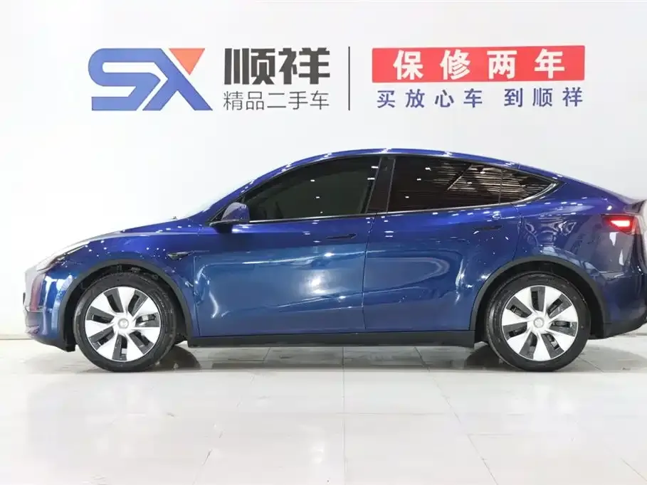 Tesla Model Y 2021 из CN, фото 6