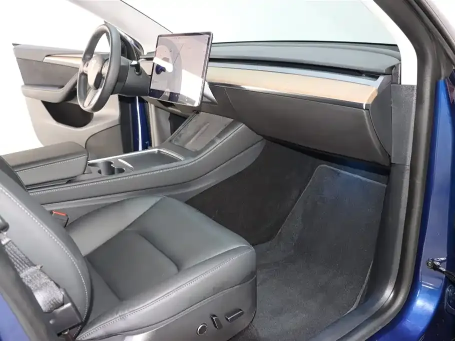 Tesla Model Y 2021 из CN, фото 8