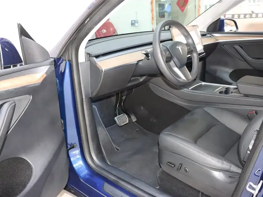 Tesla Model Y 2021 из CN, фото 9