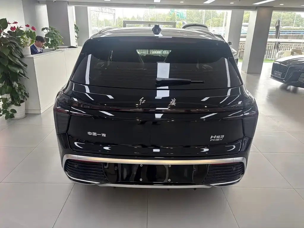 Hongqi HS3 PHEV 2025 из CN, фото 6