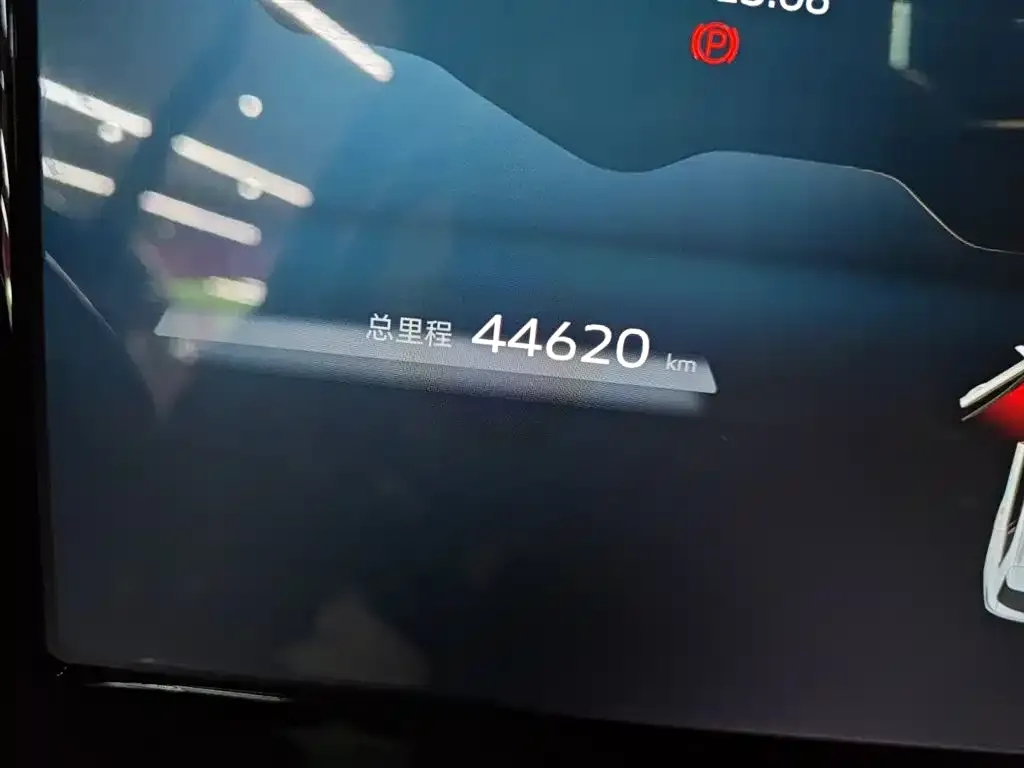 Geely Xingyue L 2021 из CN, фото 4