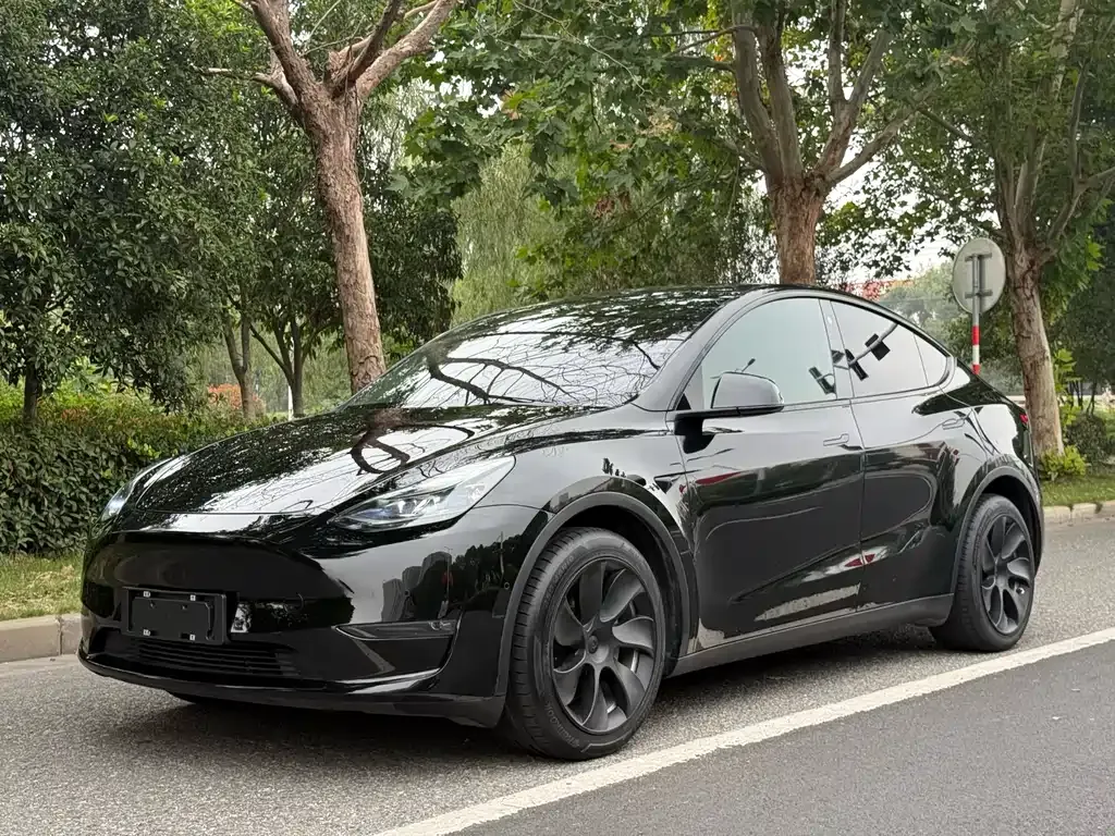 Tesla Model Y 2021 из CN, фото 1
