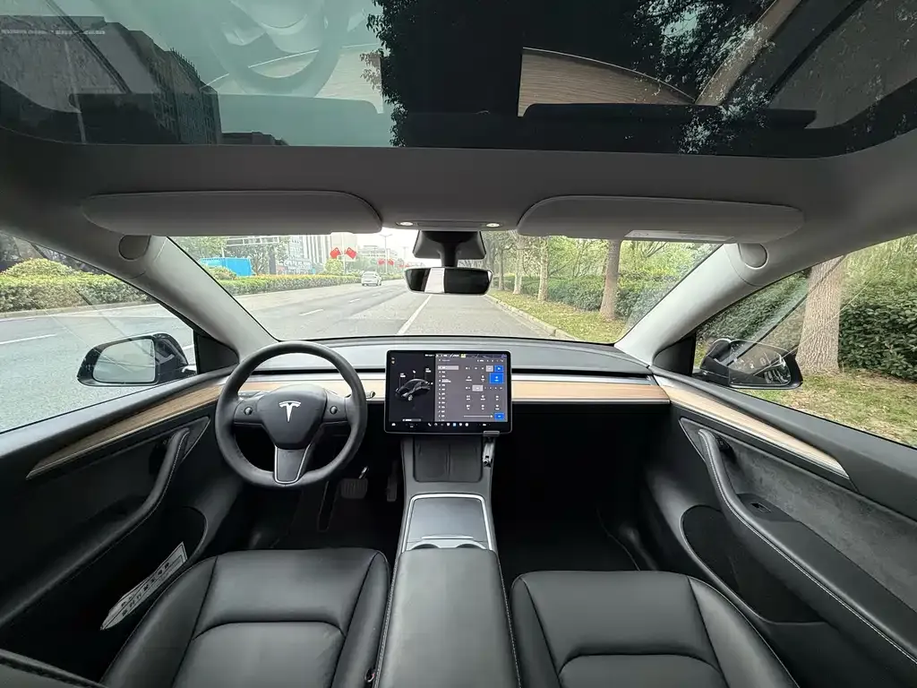 Tesla Model Y 2021 из CN, фото 10