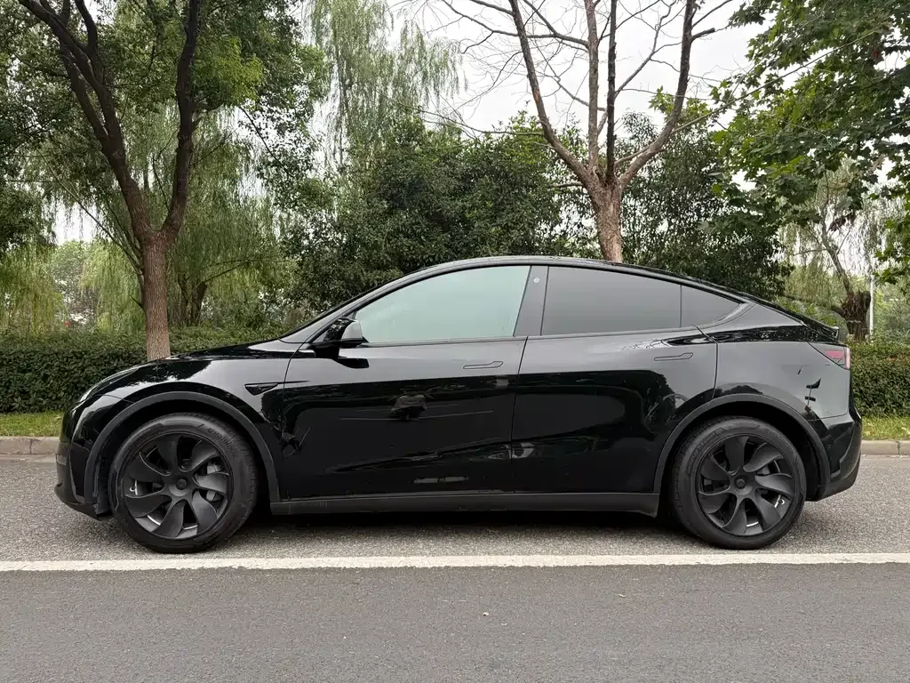 Tesla Model Y 2021 из CN, фото 2
