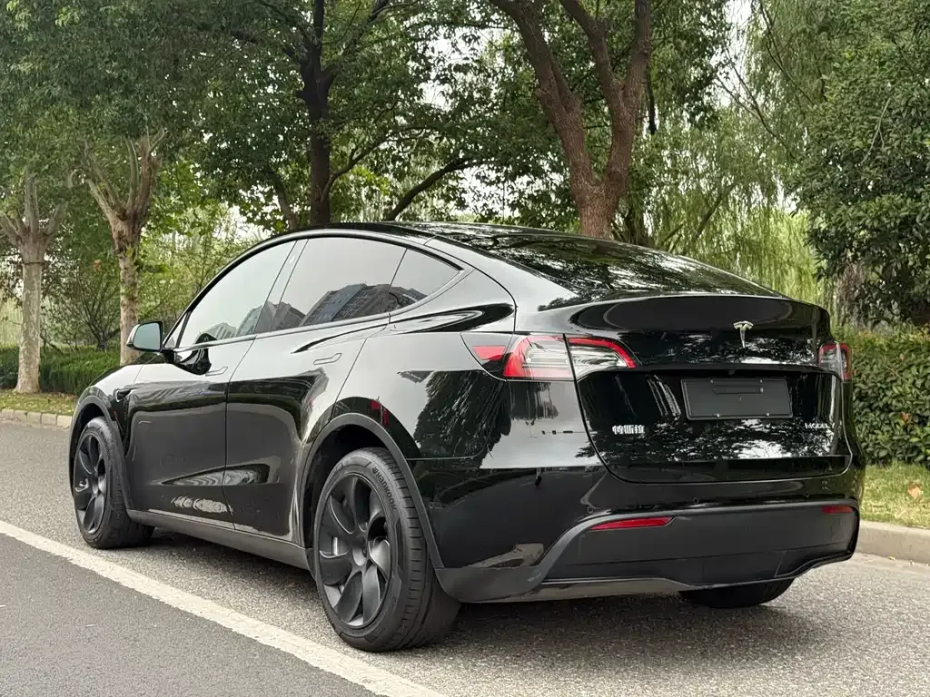 Tesla Model Y 2021 из CN, фото 3