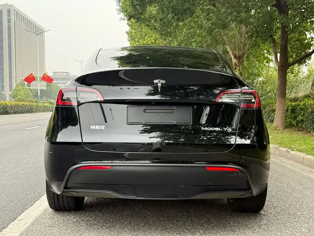 Tesla Model Y 2021 из CN, фото 4
