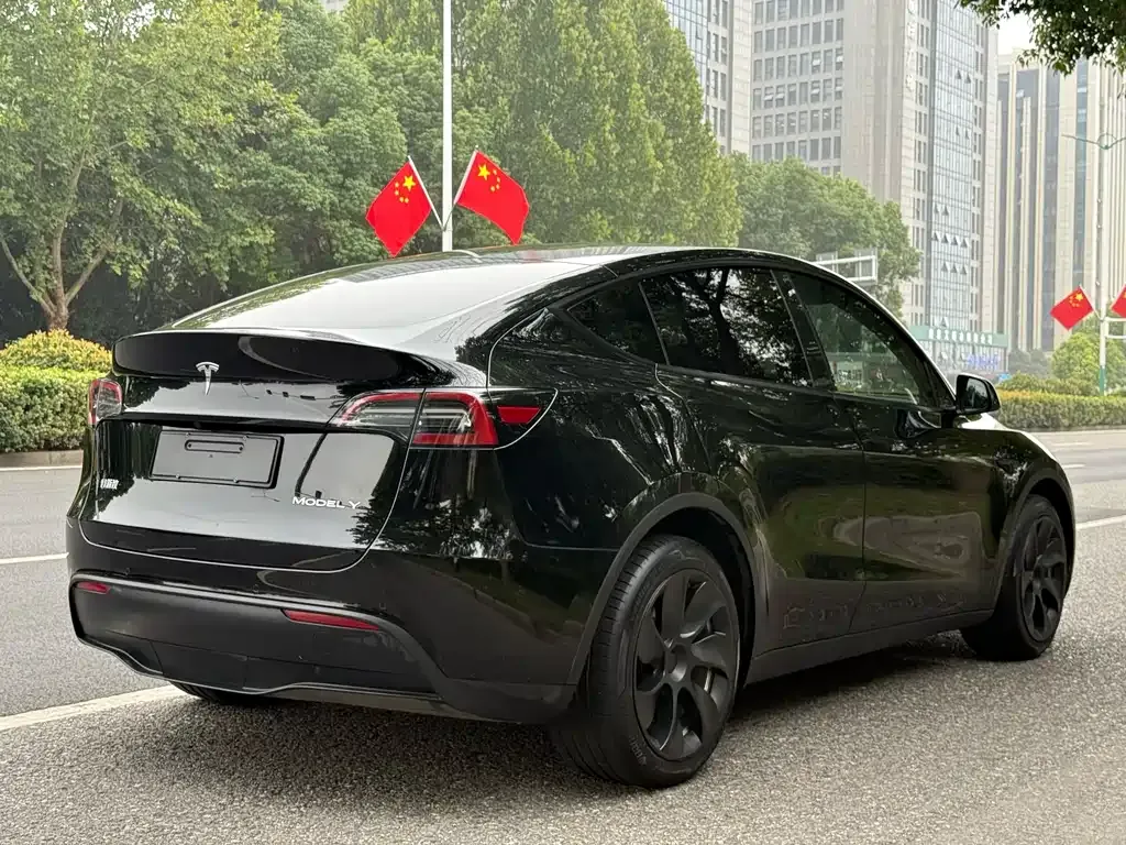 Tesla Model Y 2021 из CN, фото 5