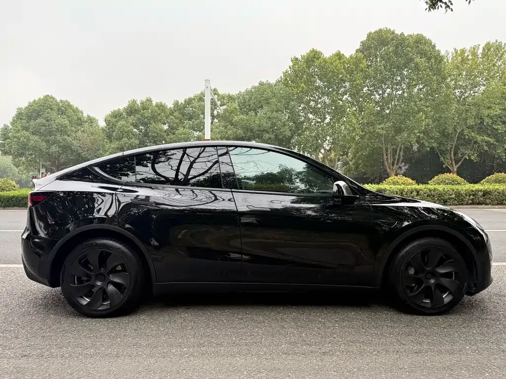 Tesla Model Y 2021 из CN, фото 6