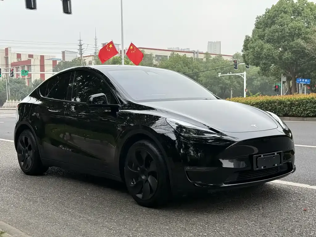 Tesla Model Y 2021 из CN, фото 7