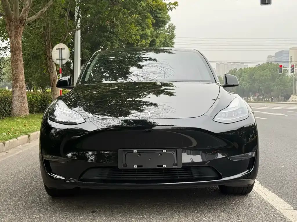 Tesla Model Y 2021 из CN, фото 8