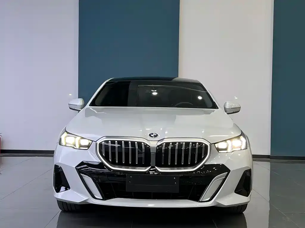 BMW 5 Series 2024 из CN, фото 2